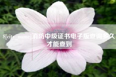 昌吉消防中级证书电子版查询多久才能查到