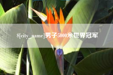 昌吉男子5000米世界冠军