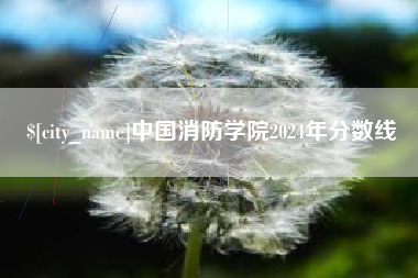 昌吉中国消防学院2024年分数线