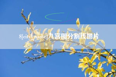 昌吉九宫图分割线图片