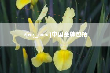 昌吉中国金牌包括
