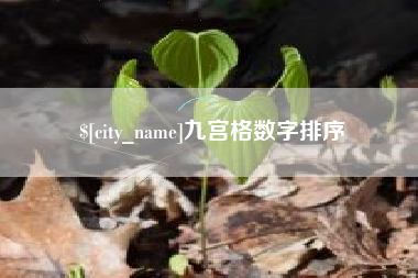 昌吉九宫格数字排序