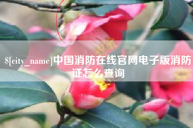 昌吉中国消防在线官网电子版消防证怎么查询