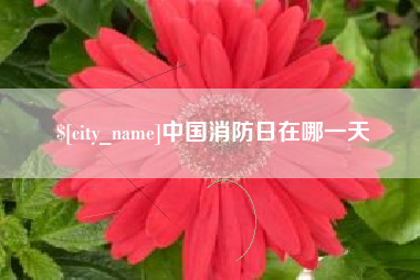 昌吉中国消防日在哪一天