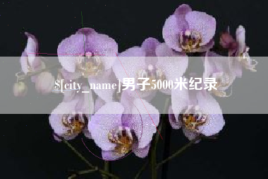 昌吉男子5000米纪录