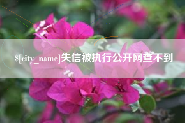 昌吉失信被执行公开网查不到