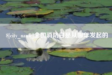 昌吉全国消防日是从哪年发起的