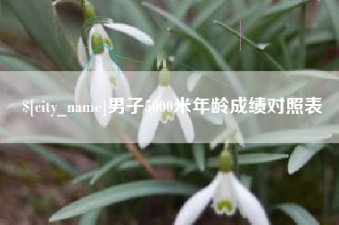 昌吉男子5000米年龄成绩对照表
