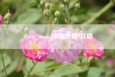 昌吉中国地图9宫格