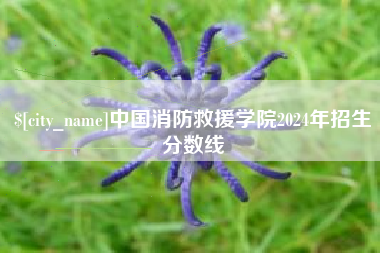 昌吉中国消防救援学院2024年招生分数线