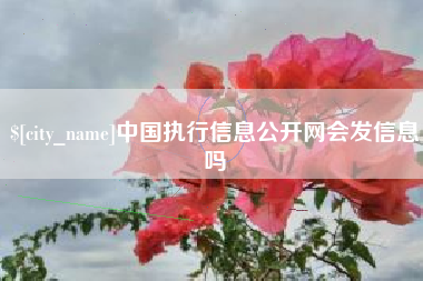 昌吉中国执行信息公开网会发信息吗