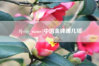 昌吉中国金牌哪几项