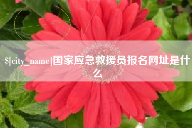 昌吉国家应急救援员报名网址是什么