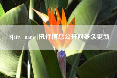 昌吉执行信息公开网多久更新