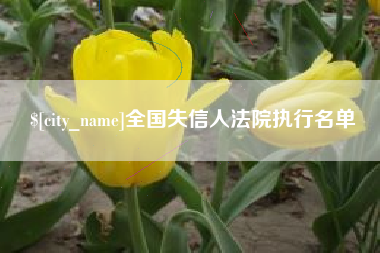 昌吉全国失信人法院执行名单