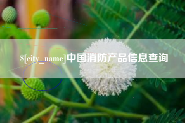 昌吉中国消防产品信息查询