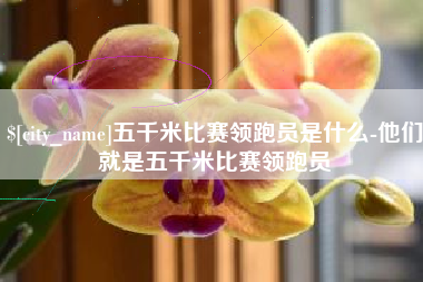 昌吉五千米比赛领跑员是什么-他们就是五千米比赛领跑员