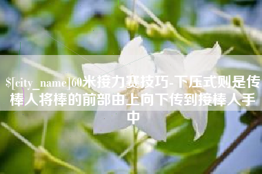 昌吉60米接力赛技巧-下压式则是传棒人将棒的前部由上向下传到接棒人手中