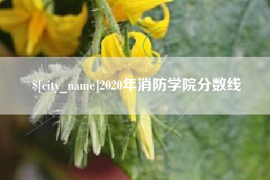 昌吉2020年消防学院分数线