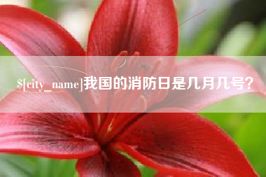 昌吉我国的消防日是几月几号？
