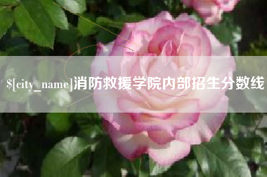 昌吉消防救援学院内部招生分数线