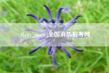 昌吉全国消防招考网