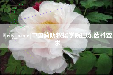 昌吉中国消防救援学院山东选科要求