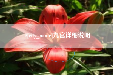 昌吉九宫详细说明