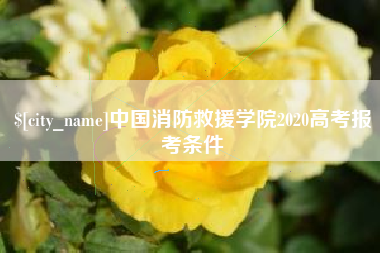 昌吉中国消防救援学院2020高考报考条件