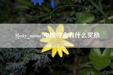 昌吉中国夺金有什么奖励