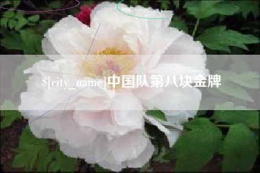 昌吉中国队第八块金牌