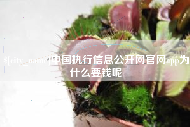 昌吉中国执行信息公开网官网app为什么要钱呢