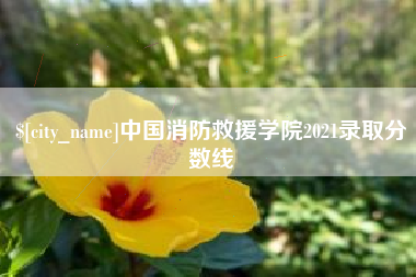 昌吉中国消防救援学院2021录取分数线