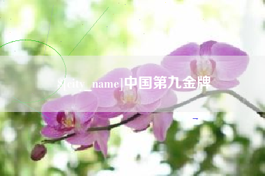 昌吉中国第九金牌