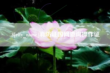 昌吉消防证国网查询操作证