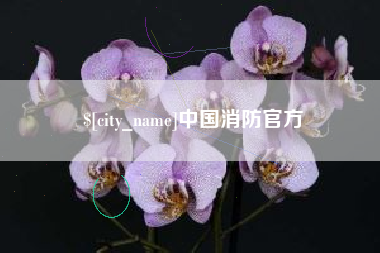 昌吉中国消防官方