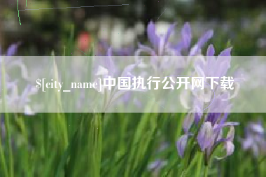 昌吉中国执行公开网下载