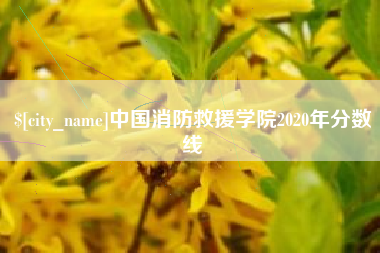昌吉中国消防救援学院2020年分数线