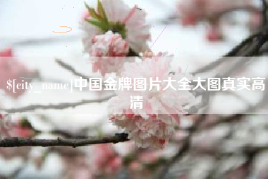 昌吉中国金牌图片大全大图真实高清
