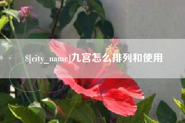 昌吉九宫怎么排列和使用