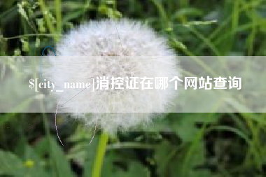 昌吉消控证在哪个网站查询
