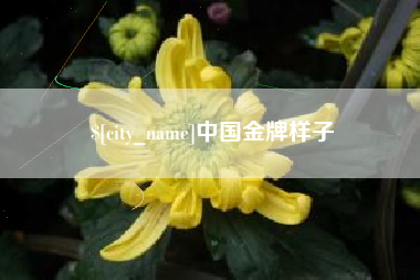 昌吉中国金牌样子