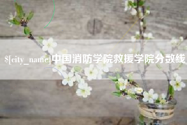 昌吉中国消防学院救援学院分数线