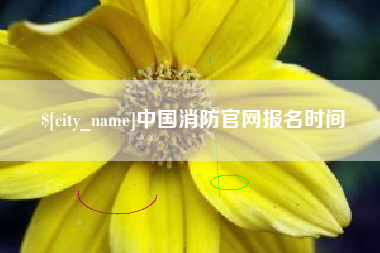 昌吉中国消防官网报名时间