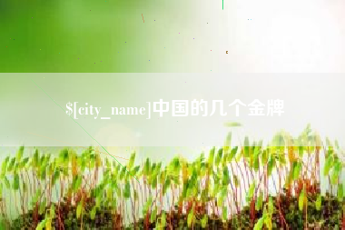 昌吉中国的几个金牌