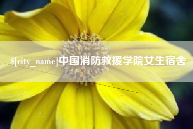 昌吉中国消防救援学院女生宿舍