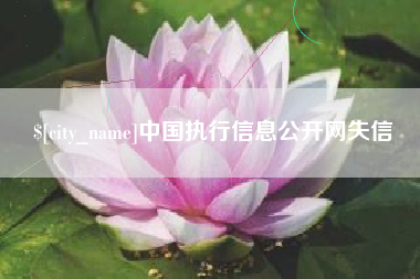 昌吉中国执行信息公开网失信