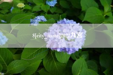 昌吉2022九宫