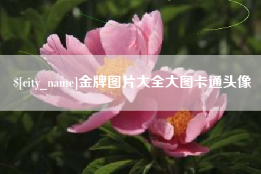 昌吉金牌图片大全大图卡通头像