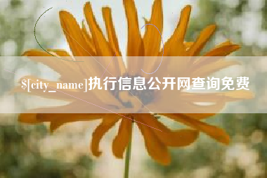 昌吉执行信息公开网查询免费
